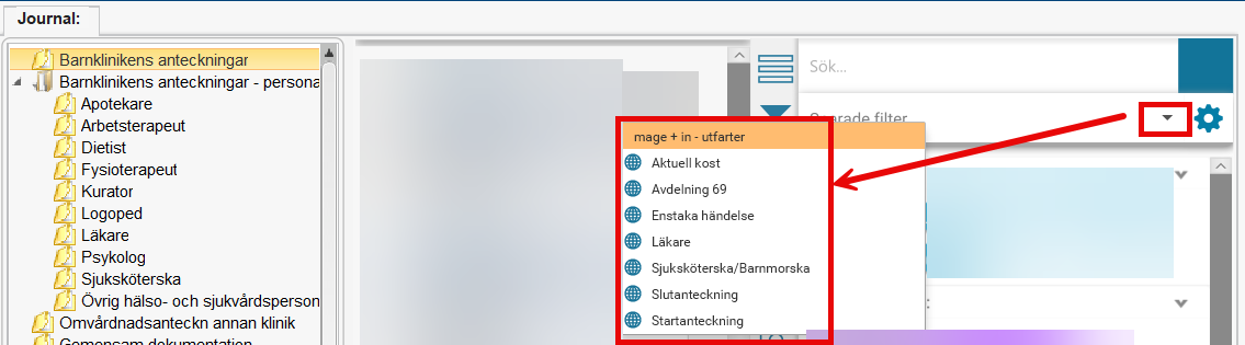Bilden visar filter i journalen