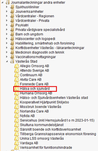 Bilden visar mappar i journalen