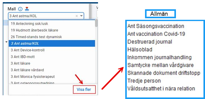 Allmänna journalmallar i Cosmic