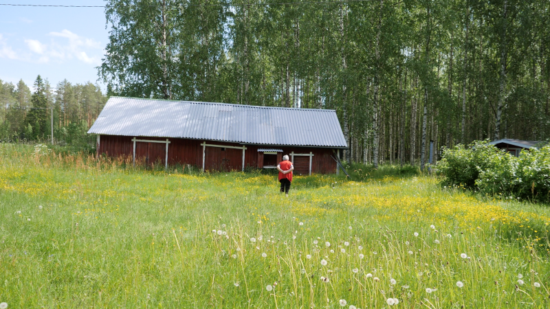 En kvinna g&aring;r p&aring; en &auml;ng mot en ladubyggnad