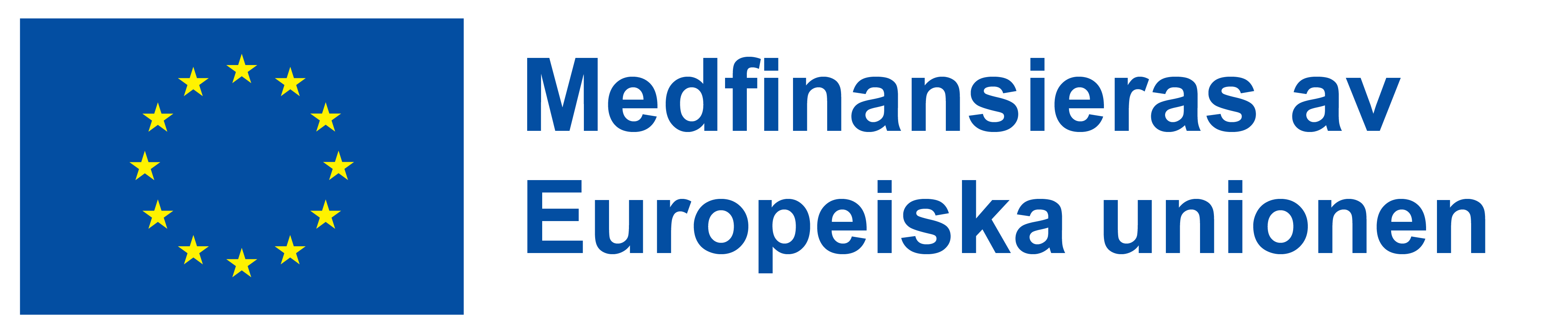 Projektet &auml;r medfinansierat av Europeiska unionen.