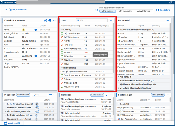 Bilden visar patientöversikten