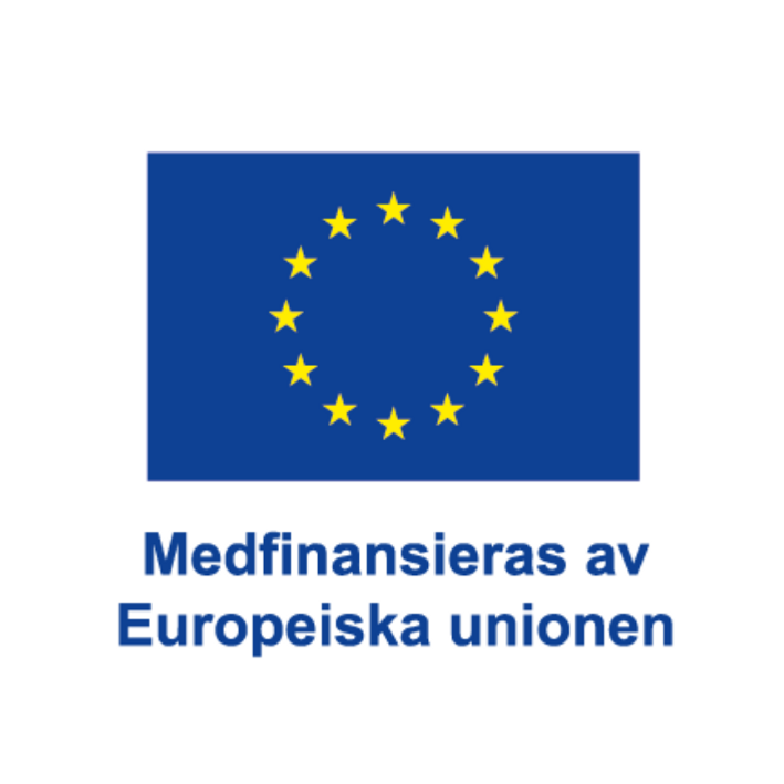 EU-flagga med text under där det står: Medfinansieras av Europeiska unionen.