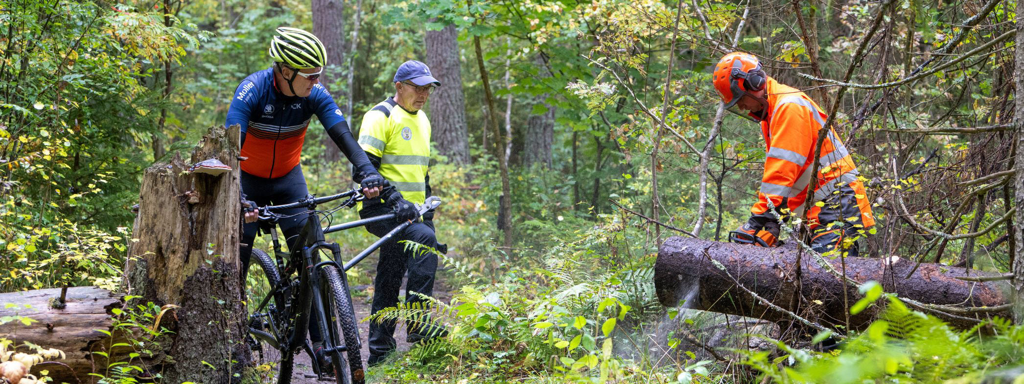 En cyklist, en vandrare och en skogsarbetare ute i skogen